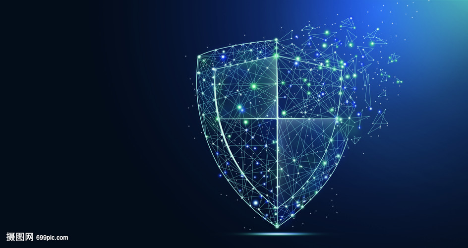 網(wǎng)絡(luò)安全衛(wèi)士