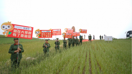 淺談燕谷坊全谷物數字化布局之數據載體 燕麥小屋與谷物加工的協同創新